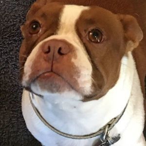 Meet your Posher, Theresa